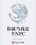 小说《你就当我是个NPC》TXT下载_你就当我是个NPC