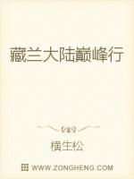 男主女主是张松南,范芳怡,宋菁的小说是什么_藏兰大陆巅峰行