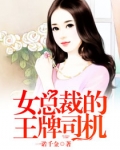 男主女主是苏如雪,苏仙儿,林悦的小说是什么_女总裁的王牌司机