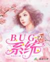 bug系统文_BUG系统