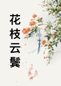 云鬓花轿_花枝云鬓