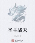 男主女主是刘辉,陈雷,宗卫的小说是什么_圣主战天