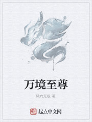 男主女主是琳琅,张昭,徐庆的小说是什么_万境至尊