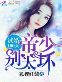 小说《试婚100天:夜少，别太坏》TXT百度云_试婚100天:夜少，别太坏