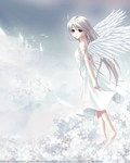 太阳黑子的小说折翼的天使_折翼的天使ING