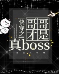 综快穿之我才是女主百度云_快穿之哥哥才是真boss