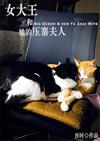 小说《女大王和她的压寨夫人》TXT百度云_女大王和她的压寨夫人