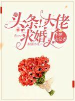 男主女主是凌辰,许瑛,林承浩的小说是什么_王牌女记者：头条！大佬求婚了