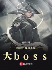 小说《网游之我真不是大boss》TXT下载_网游之我真不是大boss