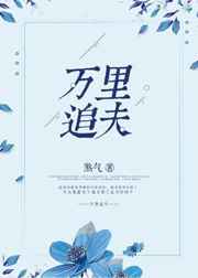 男主女主是冯琳,张锦,陆铭的小说是什么_万里追夫