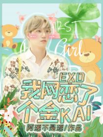小说《EXO：我网恋了个金KAI》TXT百度云_EXO：我网恋了个金KAI