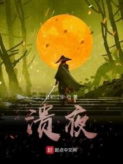 小说《溃夜》TXT百度云_溃夜