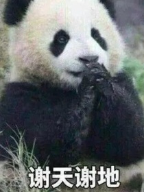 小说《穿越：可爱熊猫我来了》TXT下载_穿越：可爱熊猫我来了