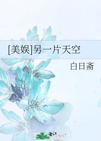 小说《[美娱]另一片天空》TXT百度云_[美娱]另一片天空