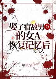 [现代情感]《娶了宿敌男O的女A恢复记忆后[女A男O]》作者：嗤牛【完结】文案：你是一个女Alpha_娶了宿敌男O的女A恢复记忆后[女A男O]