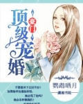 男主女主是何安,王峰龙,孔彤彤的小说是什么_豪门顶级盛婚