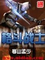 斗士斗士小说_格斗战士