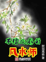 小说《不信风水的风水师》TXT百度云_不信风水的风水师