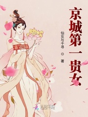 女主是京城第一贵女_京城第一贵女