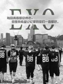 小说《EXO：青春无悔的选择》TXT百度云_EXO：青春无悔的选择