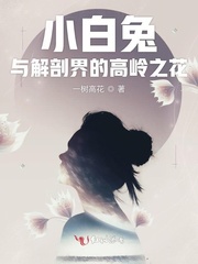 男主女主是连赞,陈杰,朱学姐的小说是什么_小白兔与解剖界的高岭之花