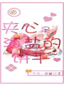 男主女主是苏海妍,洛嘉欣,小林的小说是什么_夹心是海盐的饼干