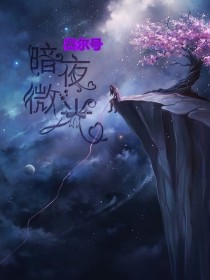 小说《赛尔号之暗夜微光》TXT下载_赛尔号之暗夜微光