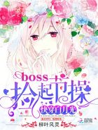 小说《快穿白月光：boss，捡起节操》TXT百度云_快穿白月光：boss，捡起节操