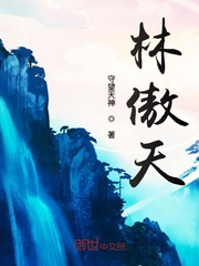 林傲天全集_林傲天