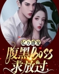 亿万宠婚boss求放过宫溟_亿万盛宠，腹黑boss求放过