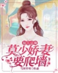 男主女主是莫寒雨,何晓婷,慕容的小说是什么_报告总裁：莫少娇妻要爬墙