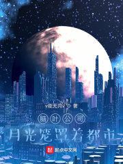 小说《脑叶公司：月光笼罩着都市》TXT百度云_脑叶公司：月光笼罩着都市