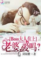 小说《Boss大人在上：老婆，爱吗？》TXT下载_Boss大人在上：老婆，爱吗？