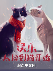 男主女主是苏野,薛伶,沈斯琪的小说是什么_娱乐从捡到猫开始