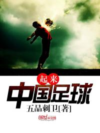 小说《起来！中国足球》TXT百度云_起来！中国足球