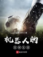 小说《机器人的足球生涯》TXT百度云_机器人的足球生涯