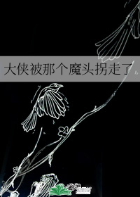 《大侠被那个魔头拐走了》作者：岁月太荒唐</p>文案：偏执小气呆萌魔教少主攻&amp;声名显赫高冷正_大侠被那个魔头拐走了