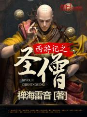 男主女主是孙悟空,刘洪,卢敬川的小说是什么_西游记之圣僧