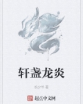 男主女主是张辰,杨辉,赵琳的小说是什么_轩盏龙炎