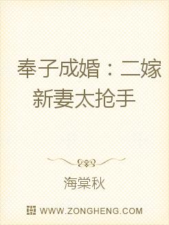 男主女主是陆以霆,陆晓宏,林乐怡的小说是什么_奉子成婚：二嫁新妻太抢手