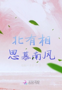 小说《北有相思慕南风》TXT百度云_北有相思慕南风