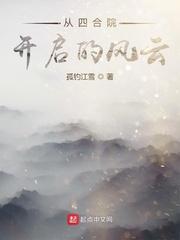 何雨许大茂《从四合院开启的风云》_从四合院开启的风云