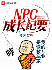 小说《NPC成长纪要》TXT百度云_NPC成长纪要