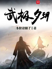 小说《武极夕玥》TXT下载_武极夕玥