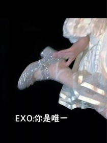 小说《EXO:你是唯一》TXT百度云_EXO:你是唯一
