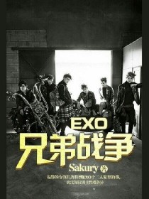 小说《EXO:兄弟战争》TXT百度云_EXO:兄弟战争