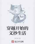 男主女主是张子路,王瑶,林琳的小说是什么_穿越开始的文抄生活
