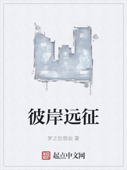 男主女主是刘云,李易,刘星的小说是什么_彼岸远征