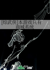 游戏武侠系统小说_[综武侠]本游戏只有商城系统