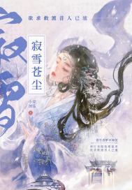 玉宸神卫《寂雪苍尘》_寂雪苍尘